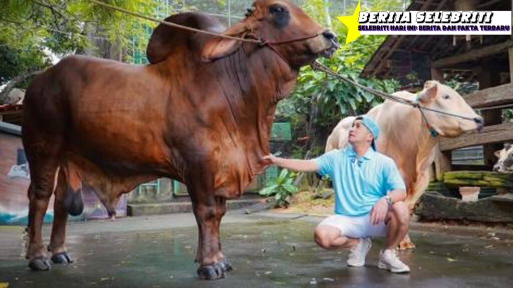 Irfan Hakim Banjir Order Hewan Kurban Jelang Idul Adha